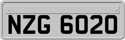 NZG6020
