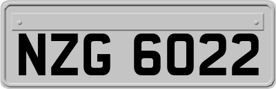 NZG6022