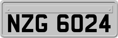NZG6024