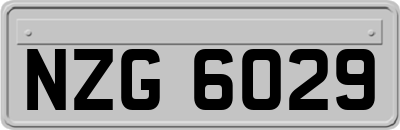 NZG6029