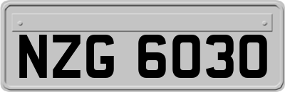 NZG6030