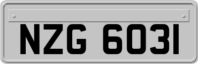 NZG6031