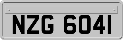 NZG6041
