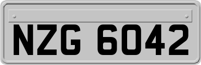 NZG6042