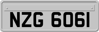 NZG6061