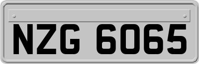 NZG6065