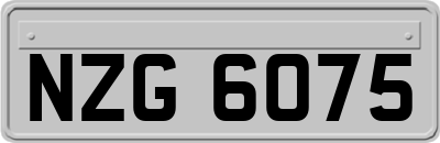 NZG6075