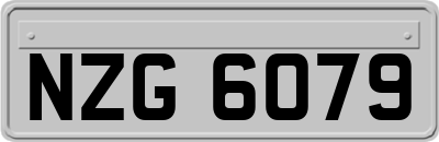NZG6079