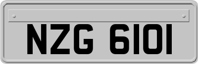 NZG6101