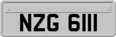 NZG6111