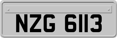 NZG6113