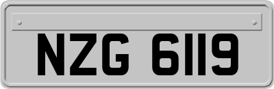 NZG6119