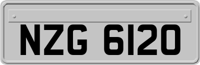 NZG6120
