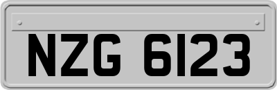 NZG6123