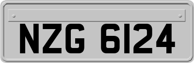 NZG6124