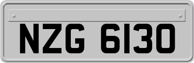 NZG6130