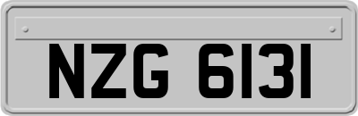 NZG6131