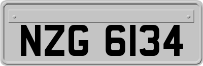 NZG6134