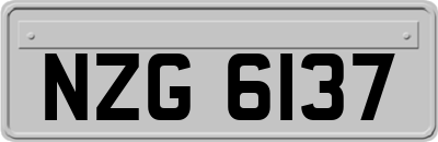 NZG6137