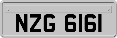 NZG6161