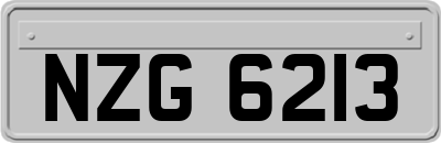 NZG6213