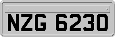NZG6230