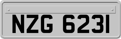 NZG6231