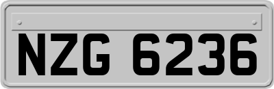 NZG6236