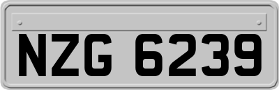 NZG6239
