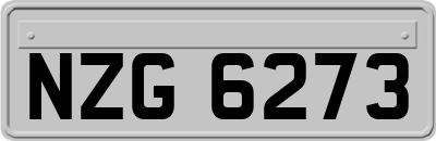 NZG6273