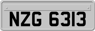 NZG6313