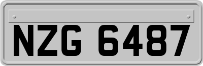 NZG6487