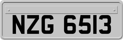 NZG6513
