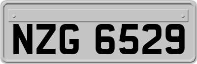 NZG6529