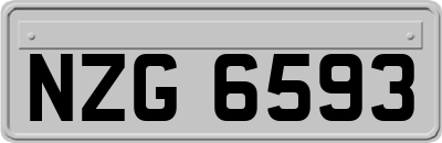 NZG6593
