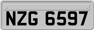 NZG6597