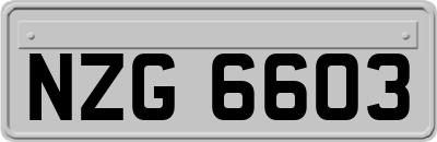 NZG6603
