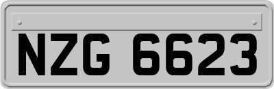NZG6623