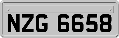 NZG6658