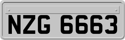 NZG6663