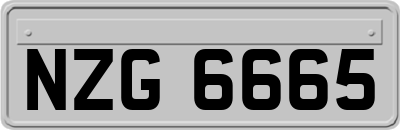 NZG6665