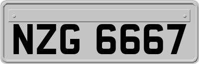 NZG6667