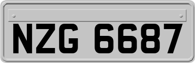 NZG6687