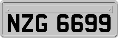NZG6699