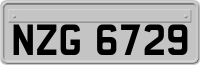 NZG6729