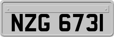 NZG6731
