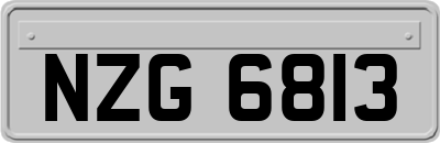 NZG6813