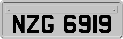 NZG6919