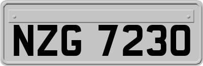 NZG7230
