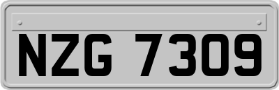 NZG7309